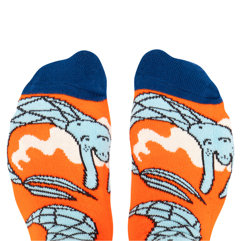 Skarpety w Syreny - Hansa Wear x Buzia Zauer – POMARAŃCZOWE – Hansa Wear
